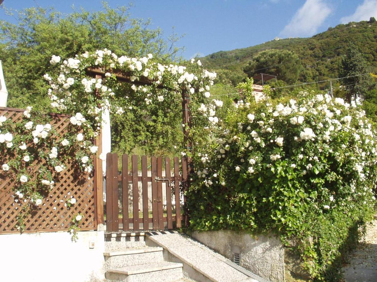 Villa Dei Limoni SantʼAndrea Екстериор снимка